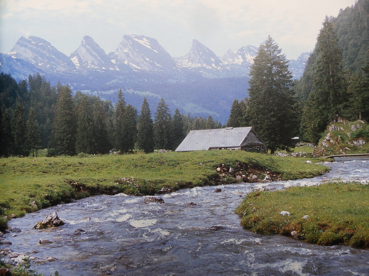 f:id:HATTYAN0234:20200523161542j:plain