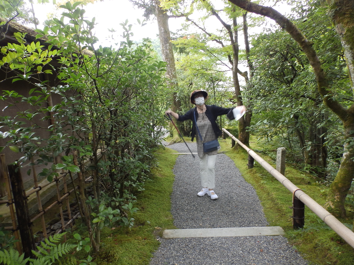 f:id:HATTYAN0234:20200817125908j:plain f:id:HATTYAN0234:20200817125908j:plain