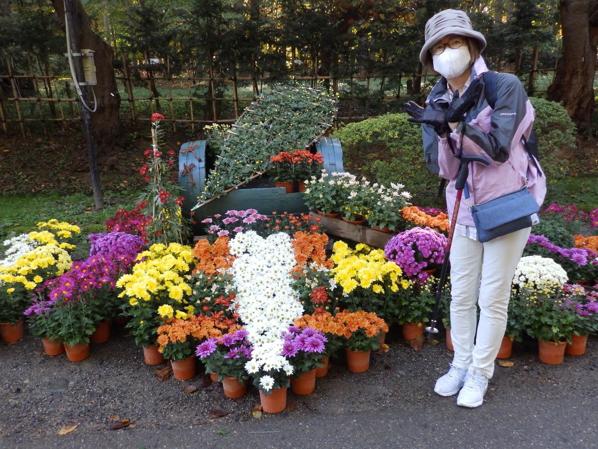 f:id:HATTYAN0234:20201107173329j:plain f:id:HATTYAN0234:20201107173329j:plain