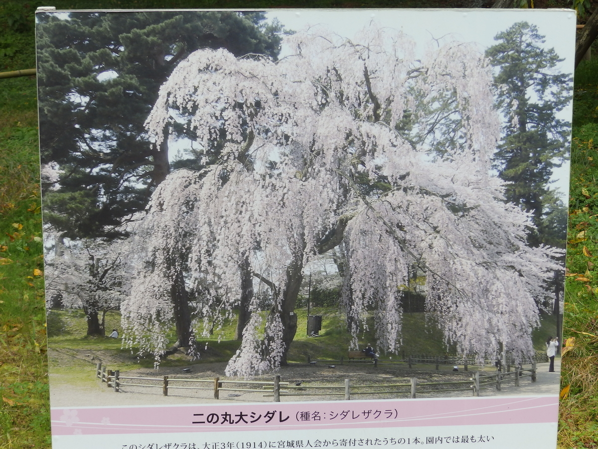 f:id:HATTYAN0234:20201107180343j:plain f:id:HATTYAN0234:20201107180343j:plain