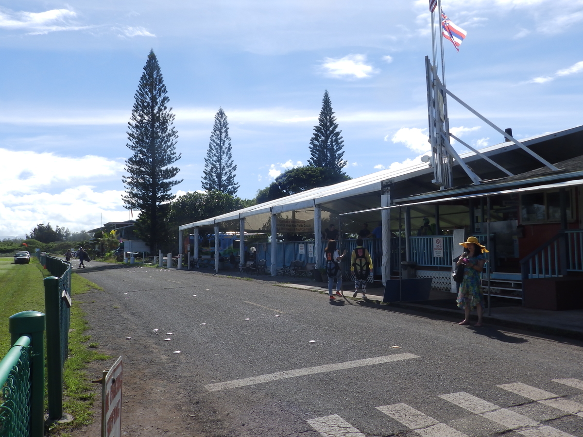 f:id:HATTYAN0234:20201224123511j:plain