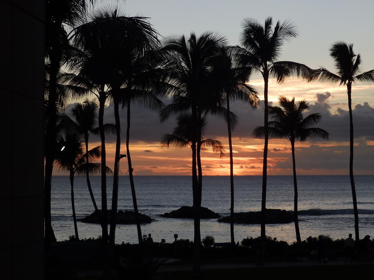 f:id:HATTYAN0234:20210102121655j:plain