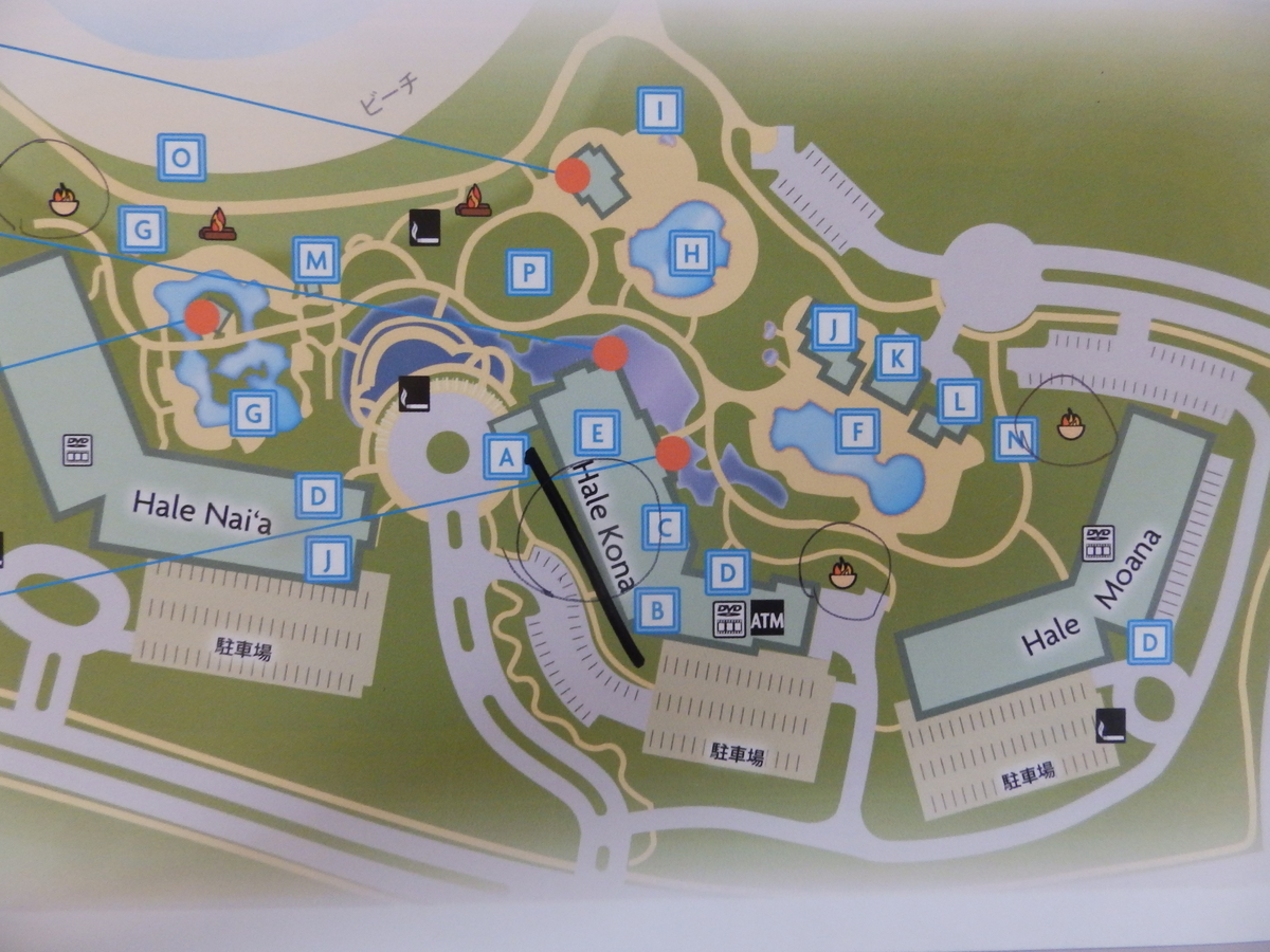 f:id:HATTYAN0234:20210102145554j:plain