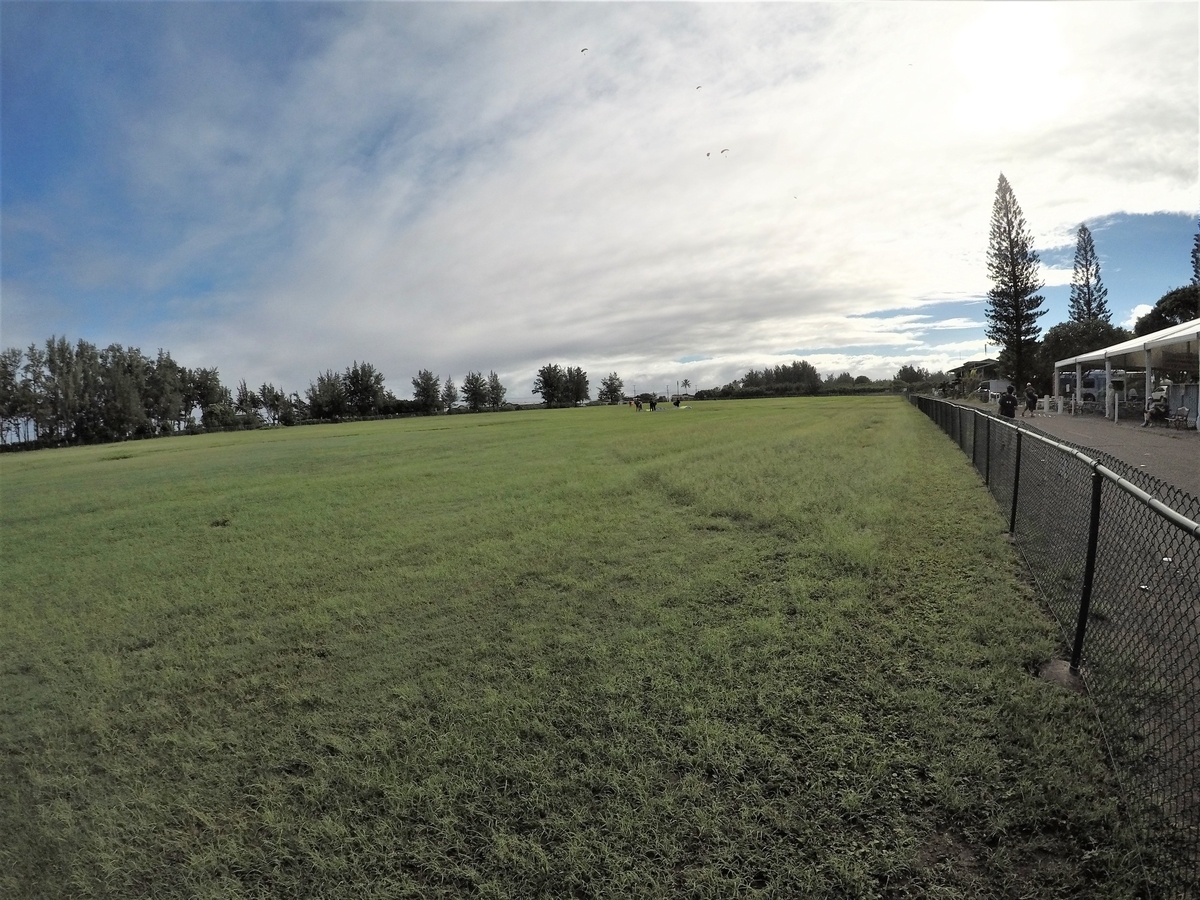 f:id:HATTYAN0234:20210624045729j:plain