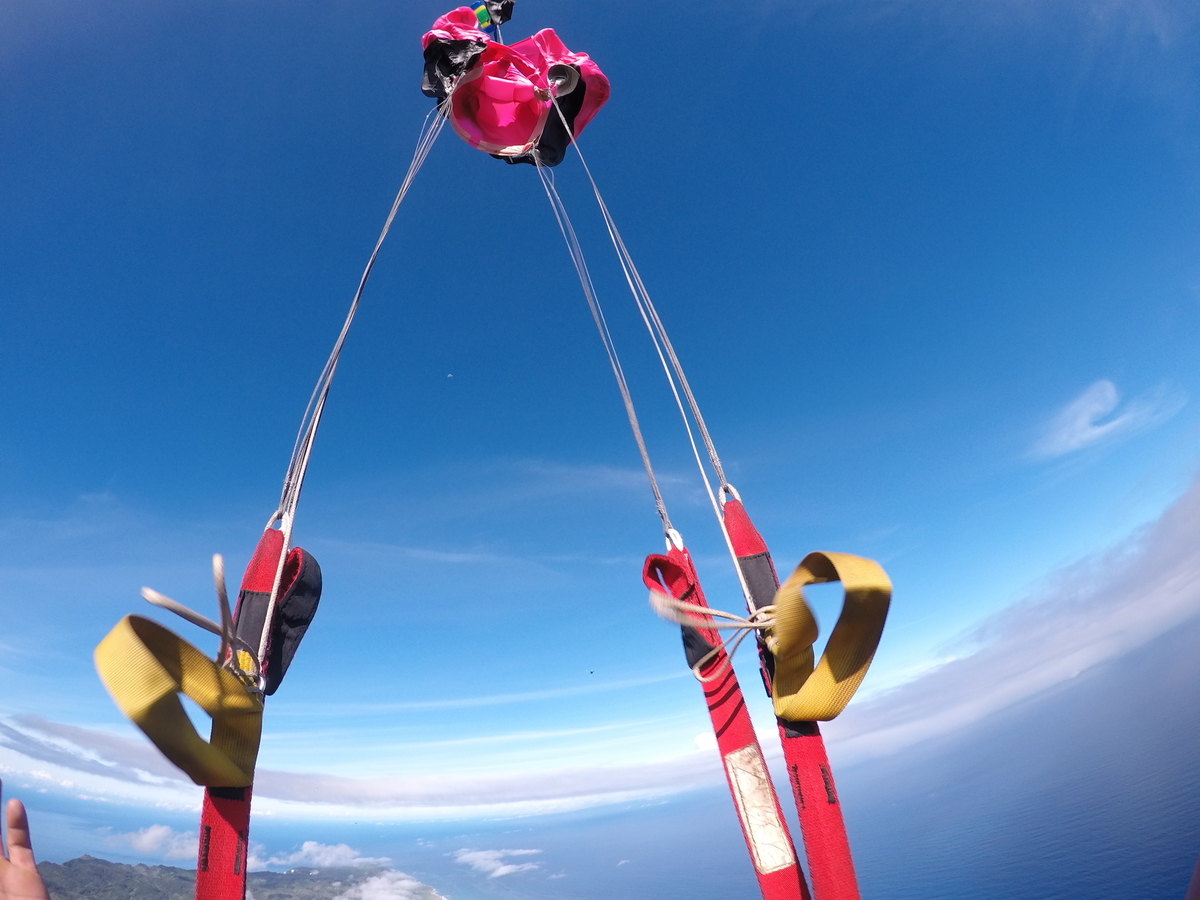 f:id:HATTYAN0234:20210624055106j:plain