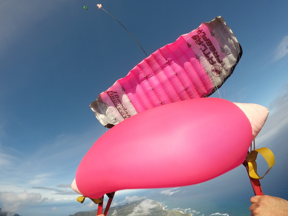 f:id:HATTYAN0234:20210624055428j:plain