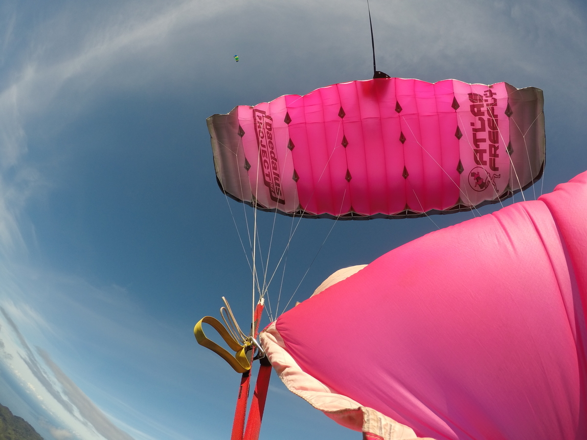 f:id:HATTYAN0234:20210624055757j:plain