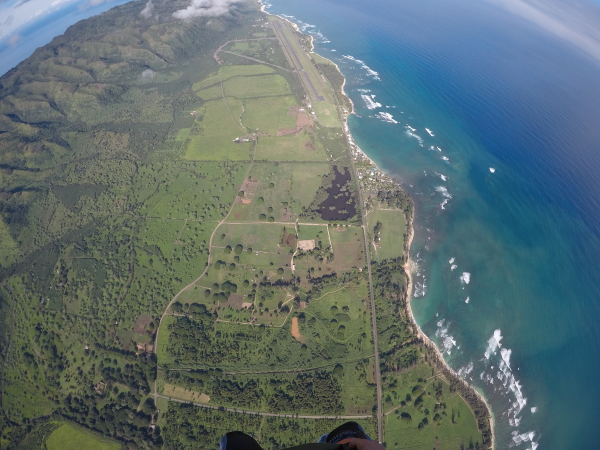 f:id:HATTYAN0234:20210624060808j:plain