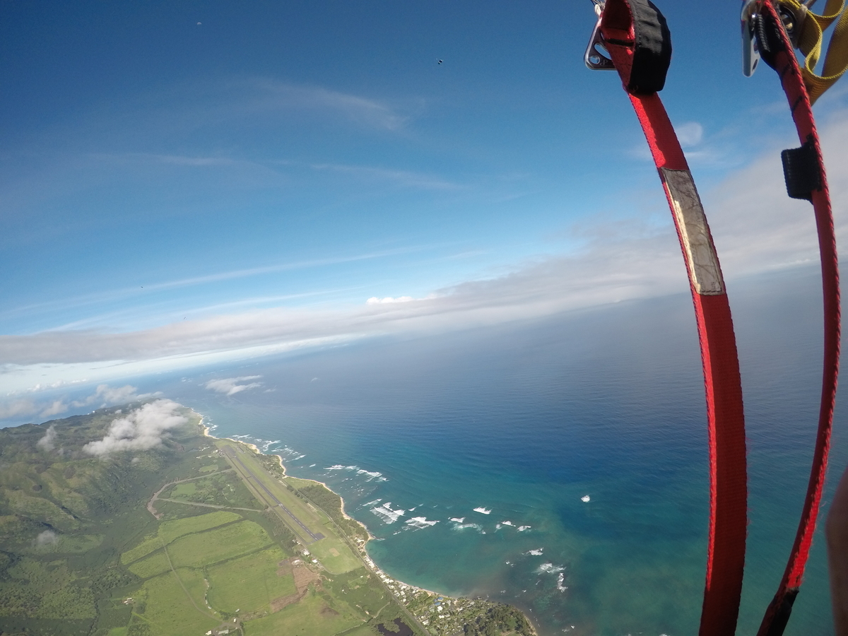 f:id:HATTYAN0234:20210624060928j:plain