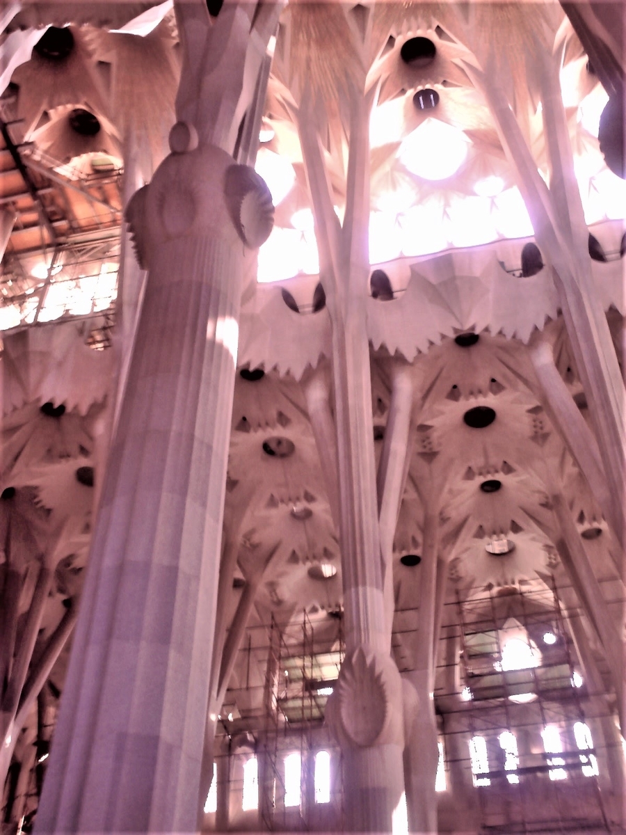 f:id:HATTYAN0234:20210701165415j:plain