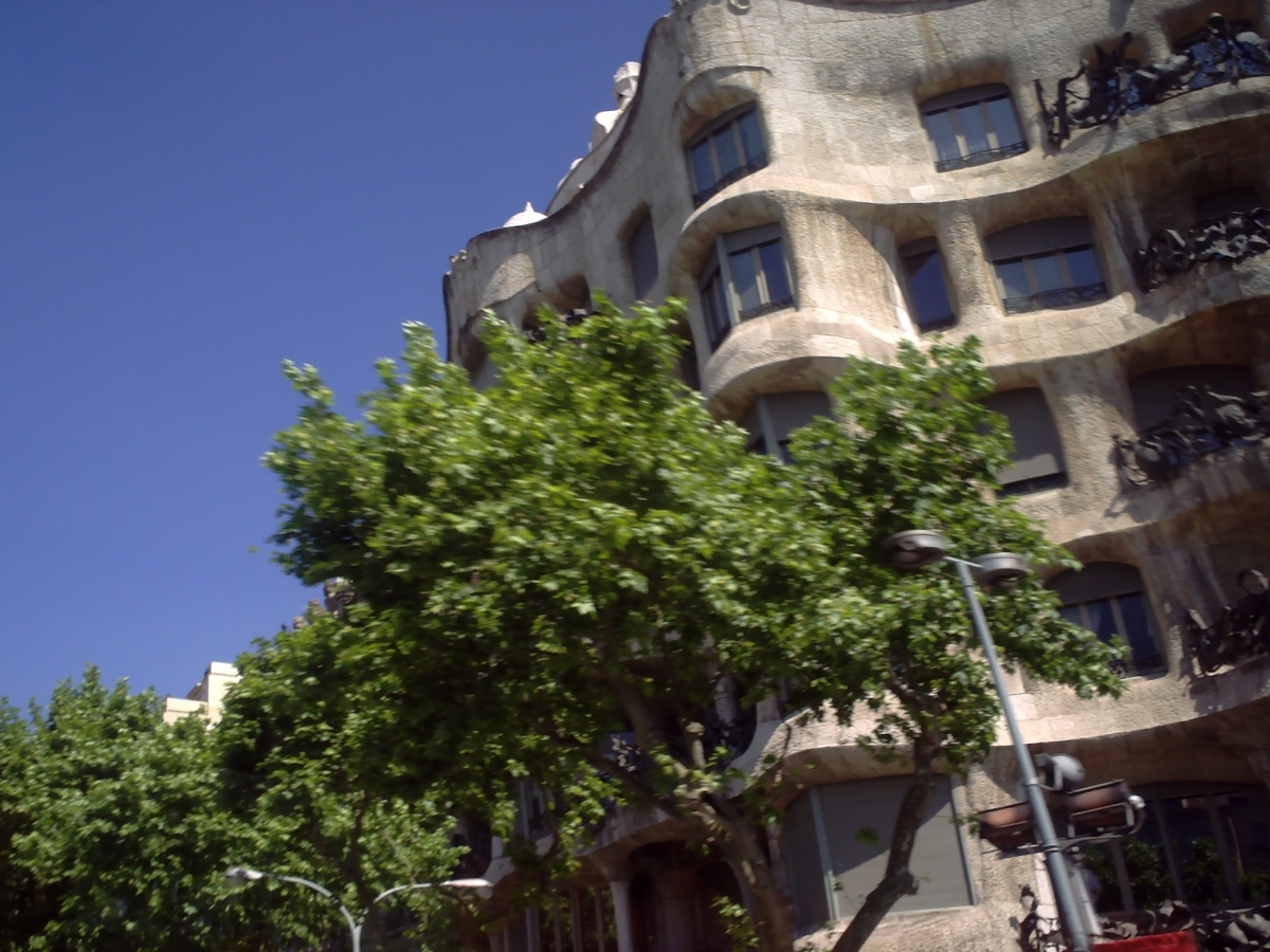 f:id:HATTYAN0234:20210701170223j:plain