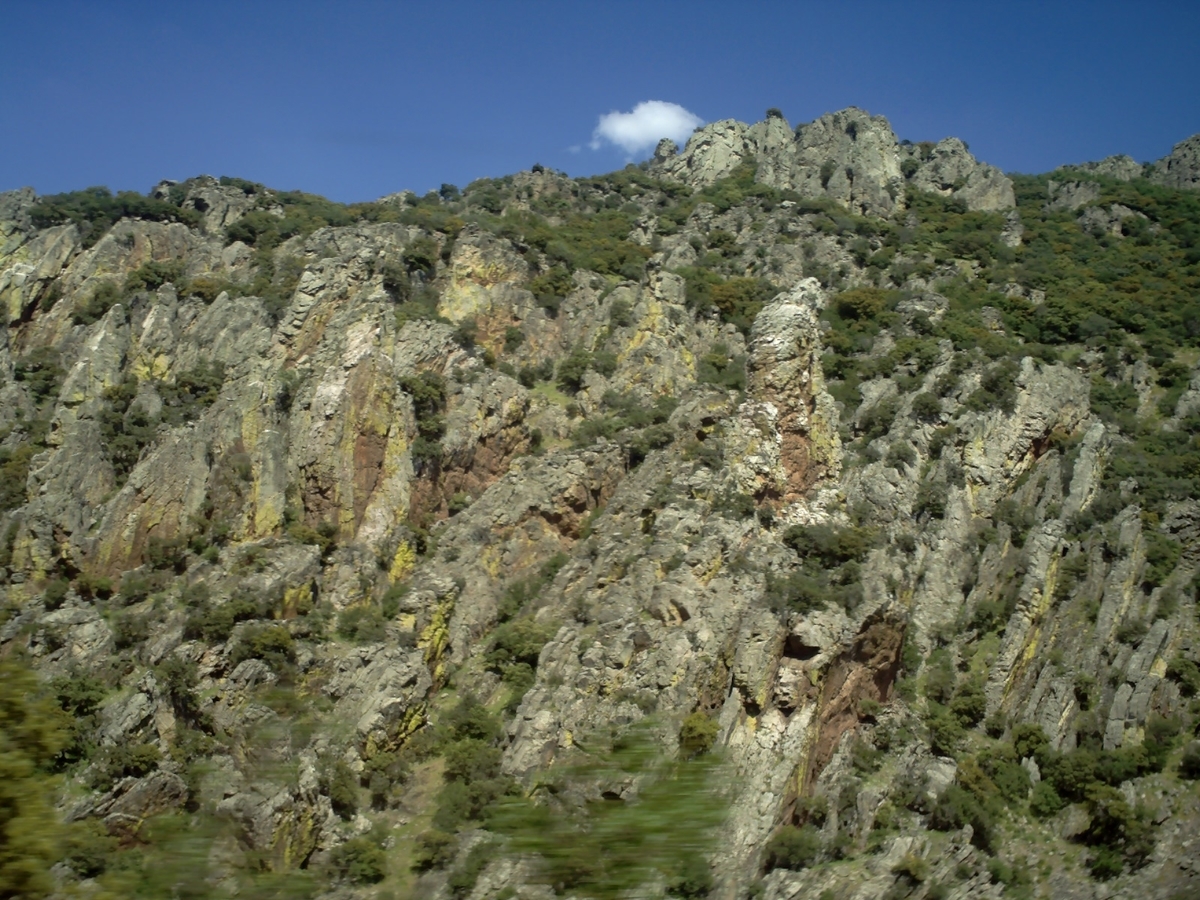 f:id:HATTYAN0234:20210701171224j:plain