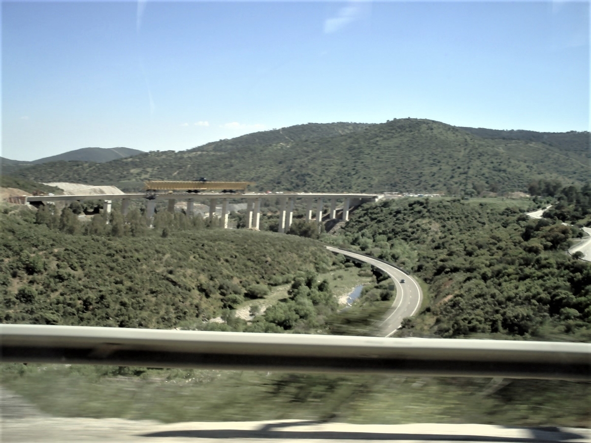 f:id:HATTYAN0234:20210701171245j:plain