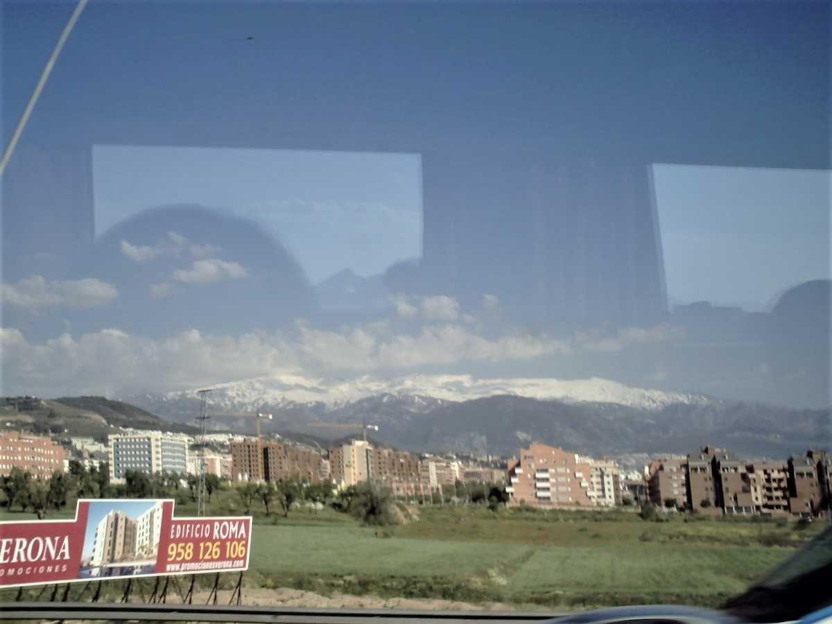 f:id:HATTYAN0234:20210701171316j:plain