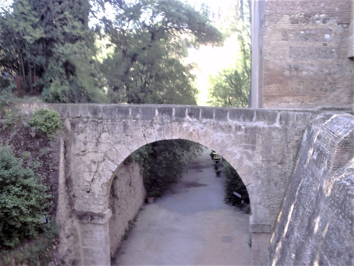 f:id:HATTYAN0234:20210701172458j:plain