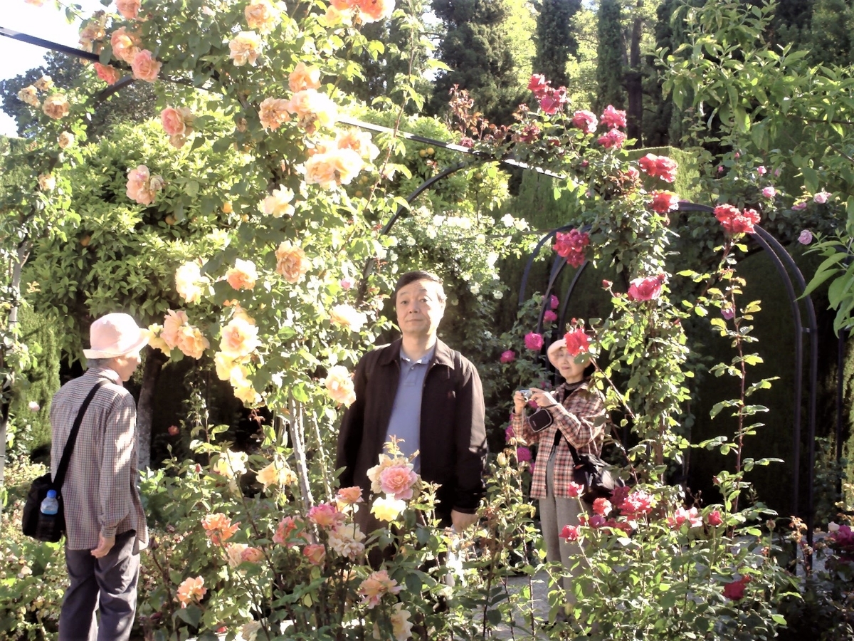 f:id:HATTYAN0234:20210701172527j:plain