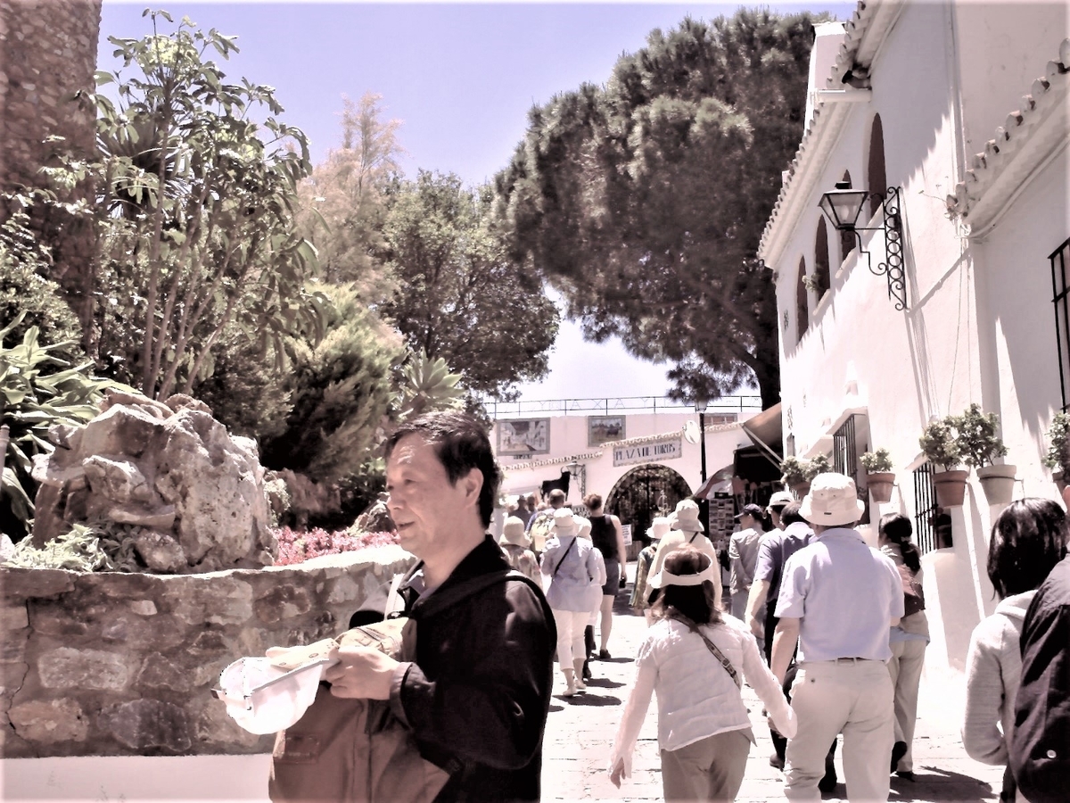 f:id:HATTYAN0234:20210701172852j:plain