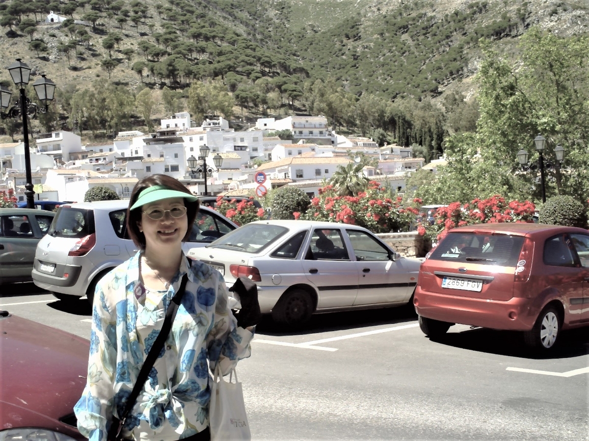 f:id:HATTYAN0234:20210701173032j:plain