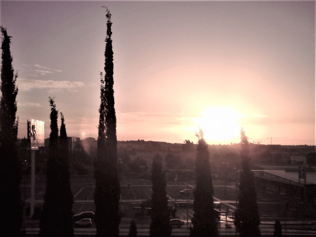 f:id:HATTYAN0234:20210701173901j:plain