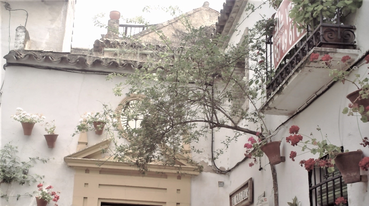 f:id:HATTYAN0234:20210701175502j:plain