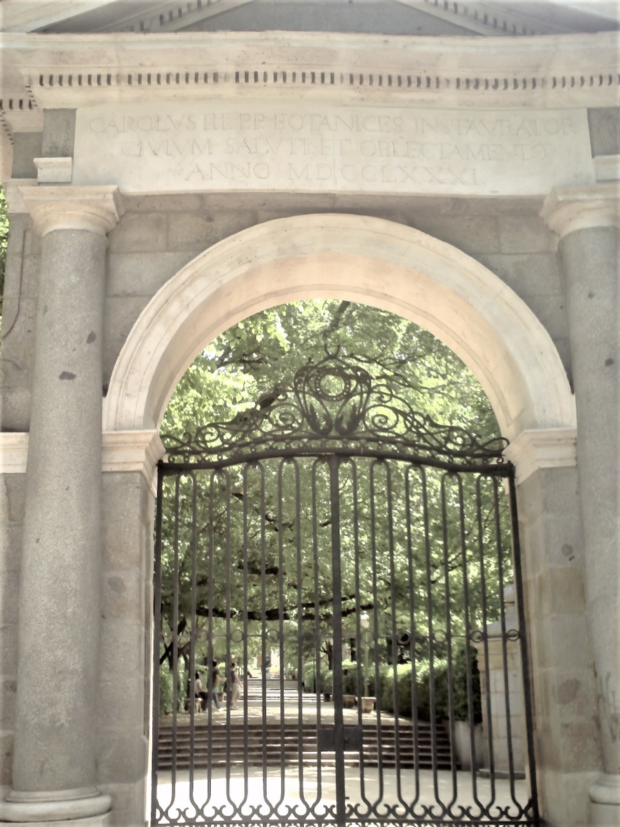 f:id:HATTYAN0234:20210701180341j:plain