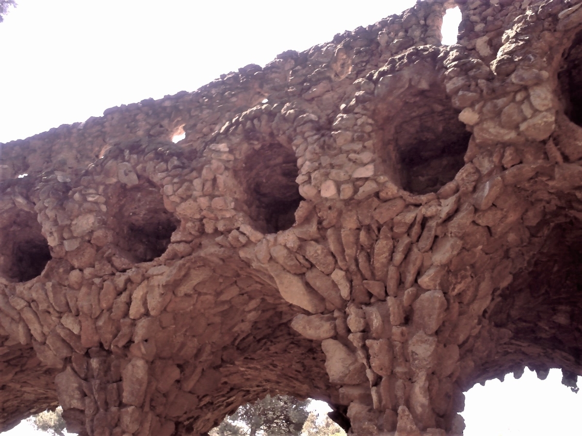 f:id:HATTYAN0234:20210702063308j:plain