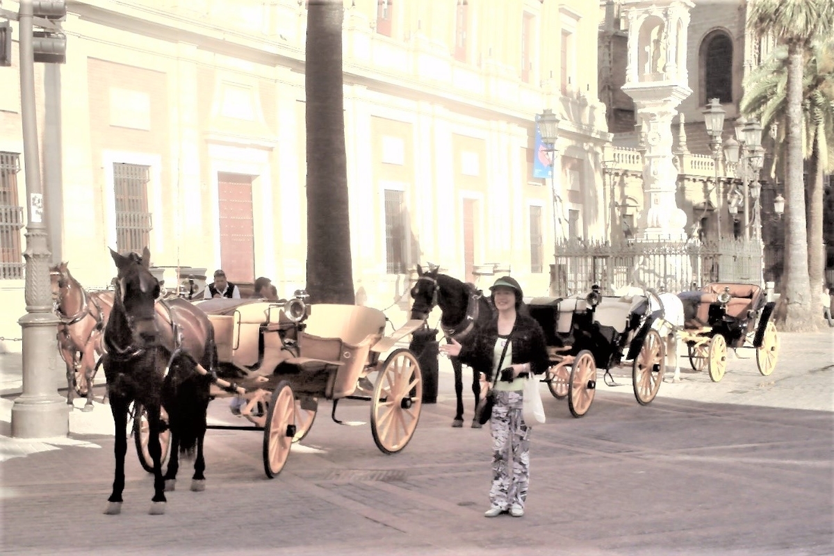 f:id:HATTYAN0234:20210703195416j:plain