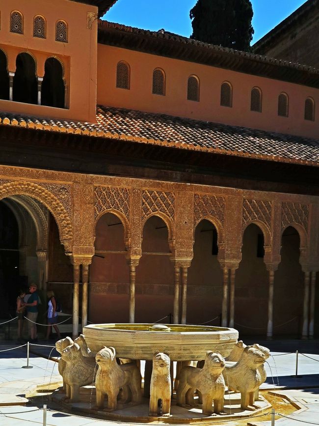 f:id:HATTYAN0234:20210705152638j:plain