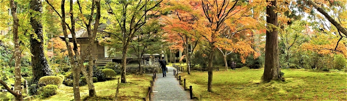 f:id:HATTYAN0234:20211119124429j:plain