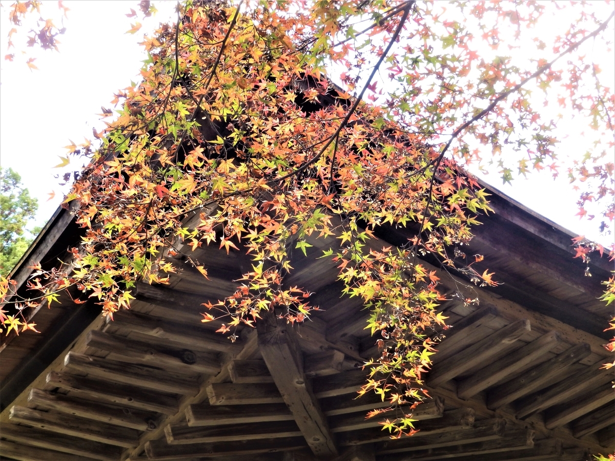 f:id:HATTYAN0234:20211119124510j:plain