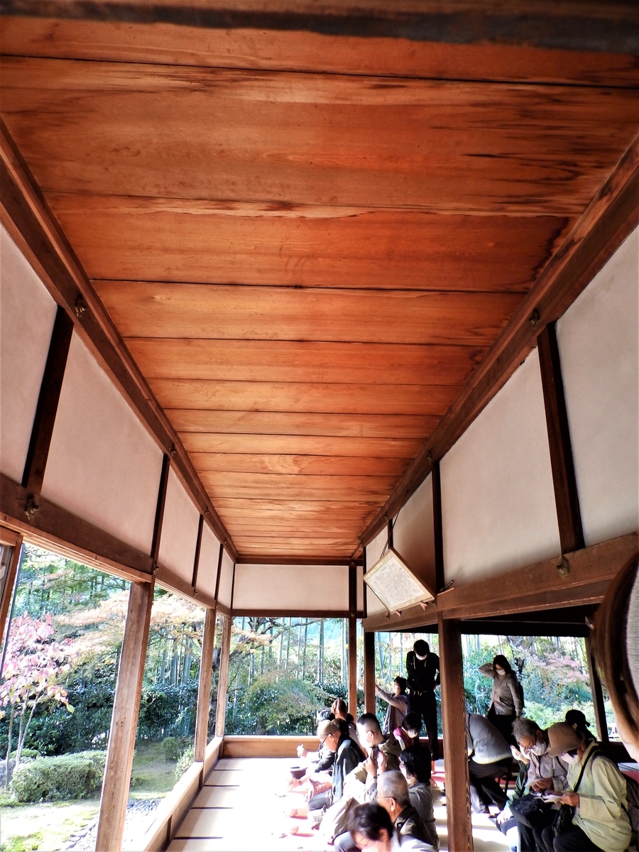 f:id:HATTYAN0234:20211119125248j:plain