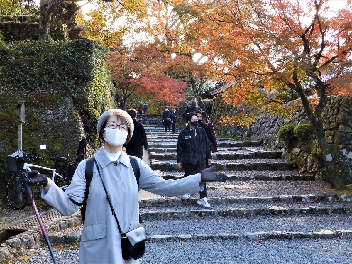 f:id:HATTYAN0234:20211119125356j:plain