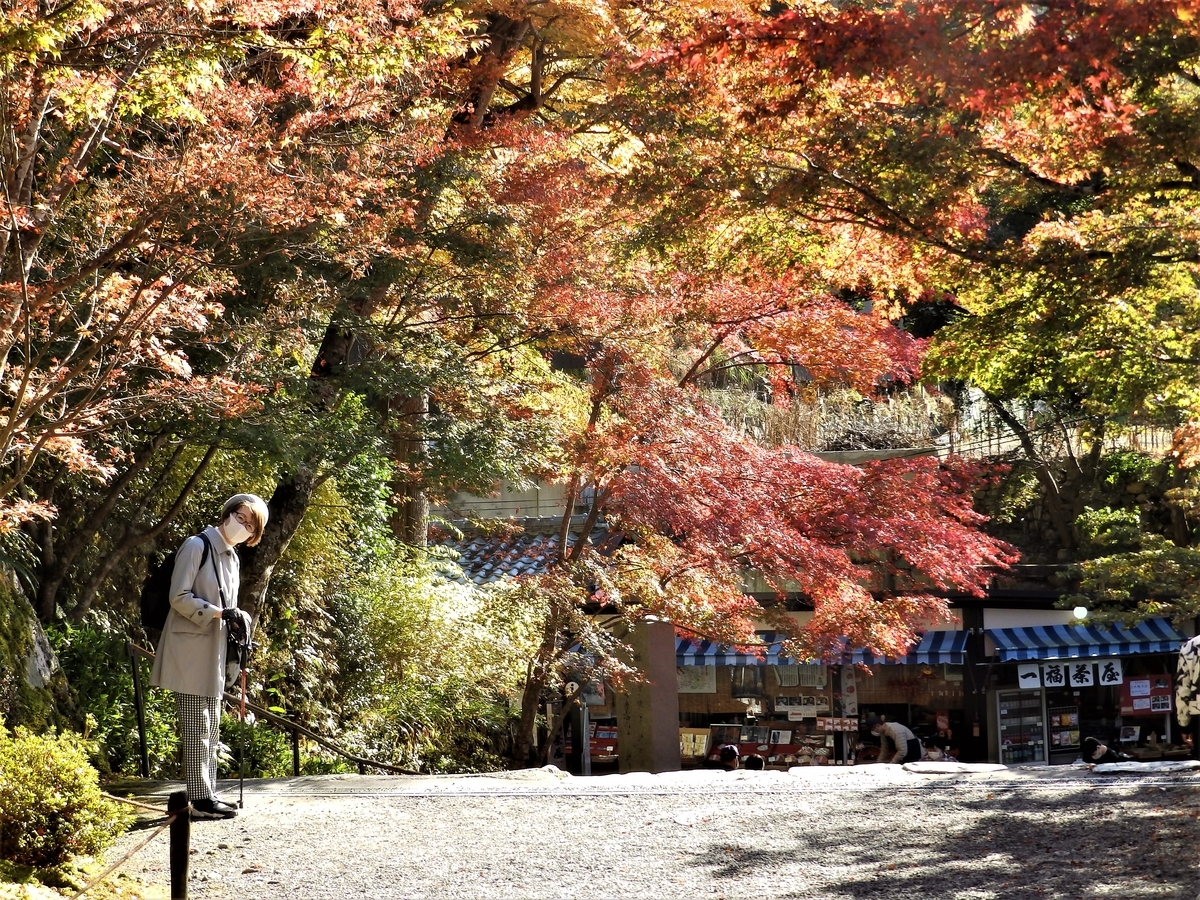 f:id:HATTYAN0234:20211119125628j:plain