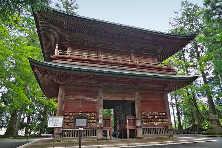 f:id:HATTYAN0234:20211201113237j:plain