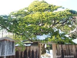 f:id:HATTYAN0234:20211201114637j:plain