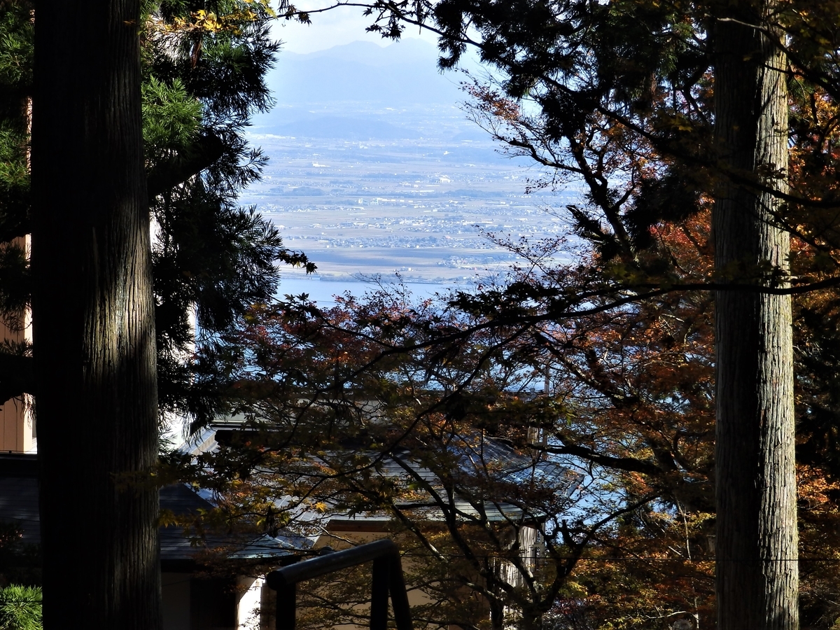 f:id:HATTYAN0234:20211201171423j:plain