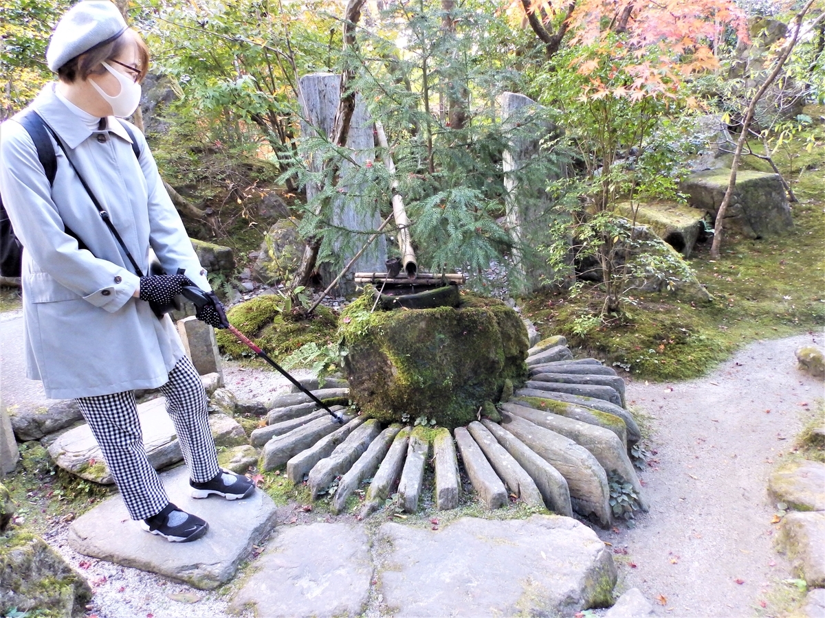 f:id:HATTYAN0234:20211201171952j:plain