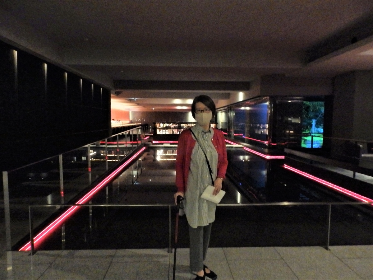 f:id:HATTYAN0234:20220225130004j:plain