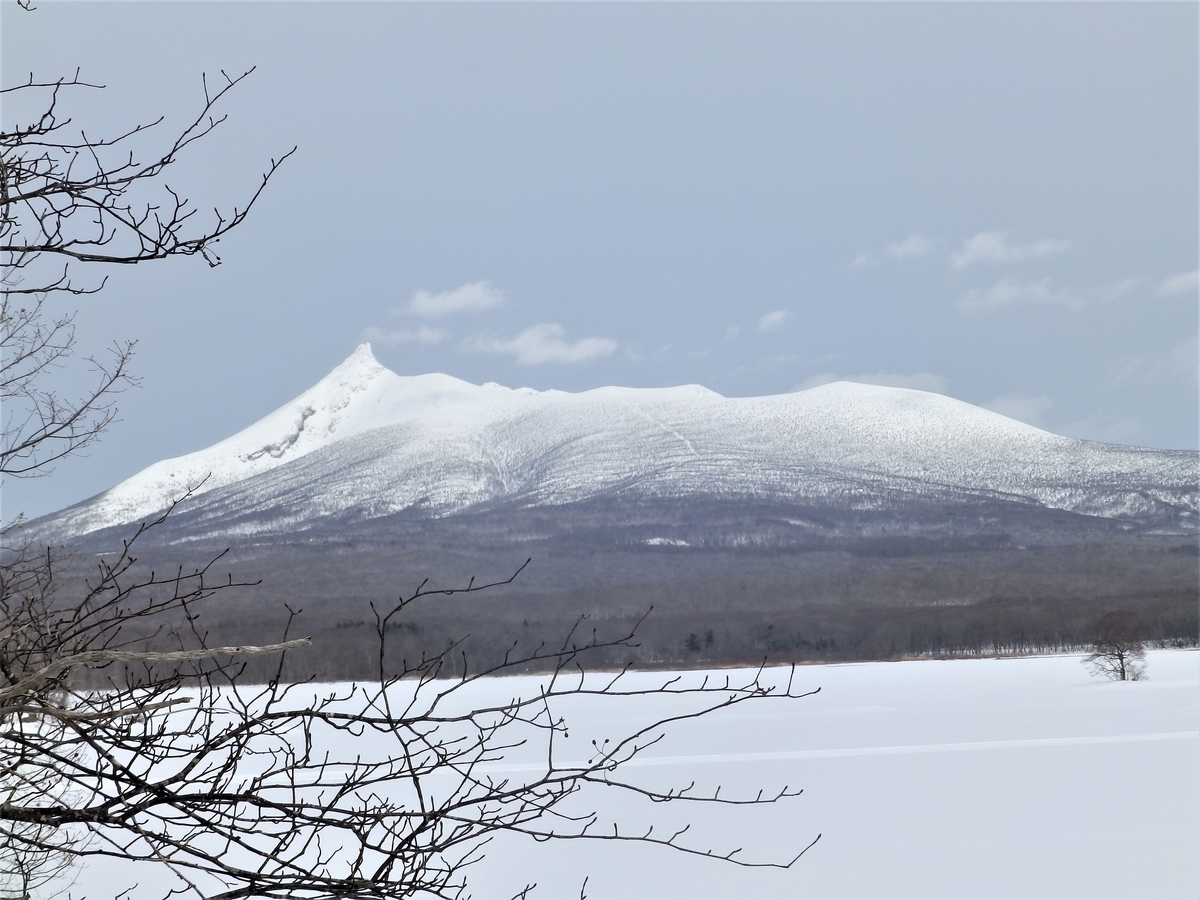 f:id:HATTYAN0234:20220225163501j:plain