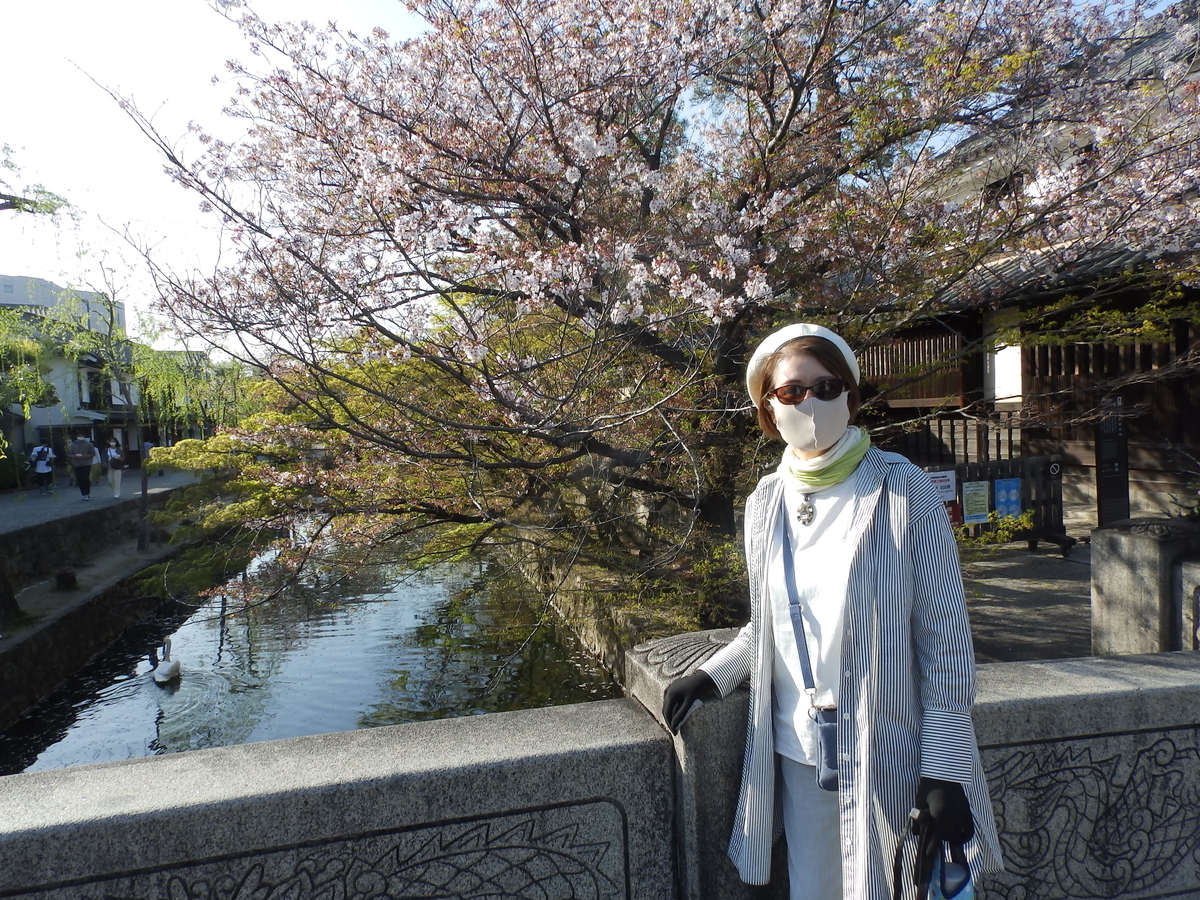 f:id:HATTYAN0234:20220411203035j:plain