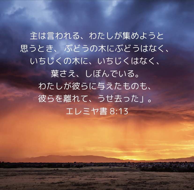 f:id:HATUHO:20210104184507j:plain
