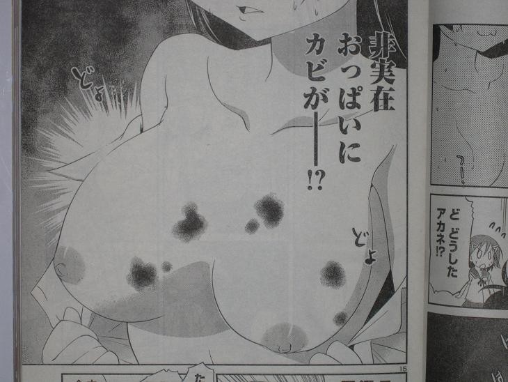おっパ チャンピオン Red いちご 10年 09月号 Haveの日記