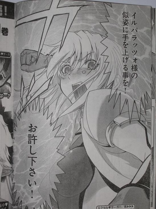 エクセルサーガ Youngking Ours ヤングキングアワーズ 10年 12月号 Haveの日記
