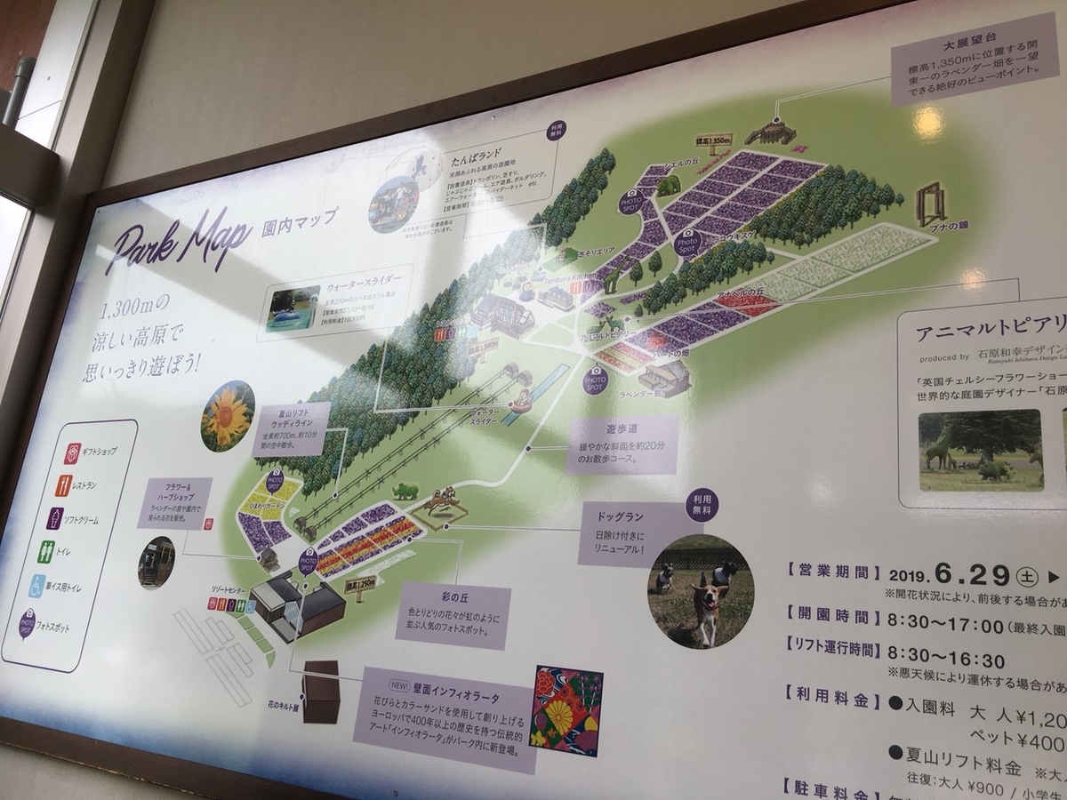 f:id:HAY0930:20190812164511j:plain f:id:HAY0930:20190812164511j:plain