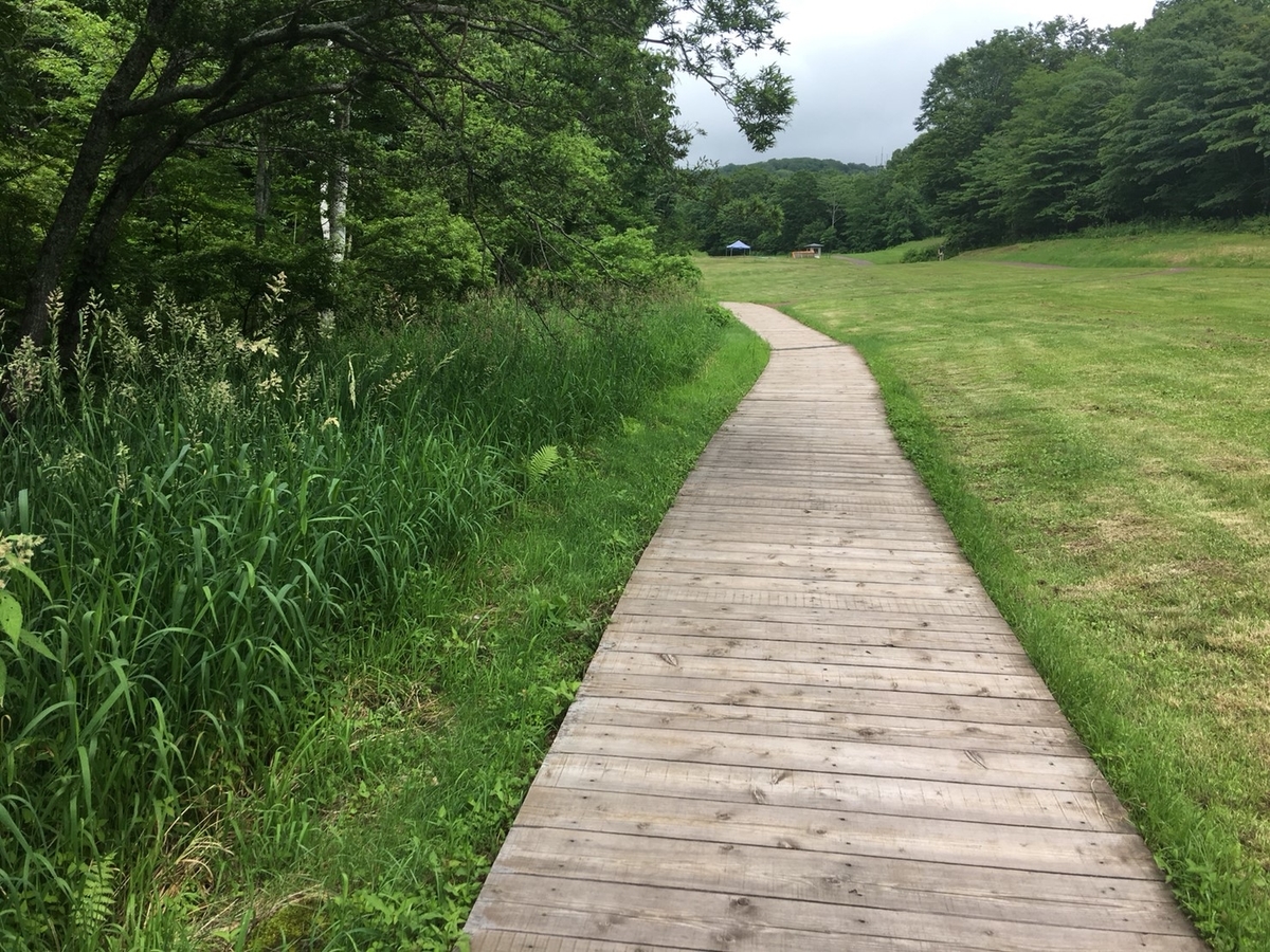 f:id:HAY0930:20190812164619j:plain f:id:HAY0930:20190812164619j:plain