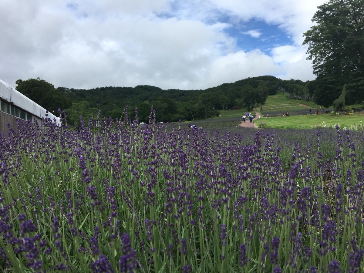 f:id:HAY0930:20190812164811j:plain f:id:HAY0930:20190812164811j:plain