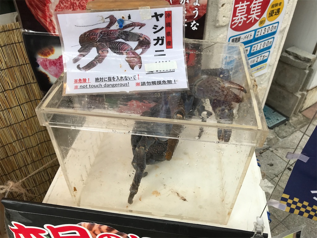 f:id:HAY0930:20240526190624j:image