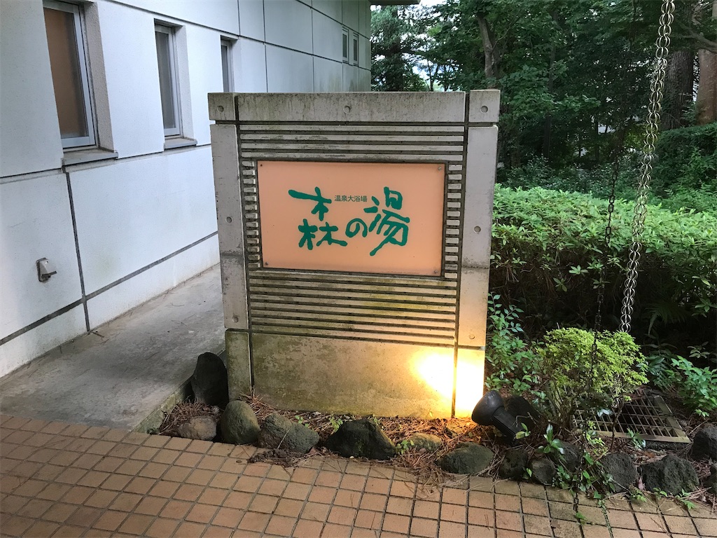 f:id:HAY0930:20240725214927j:image