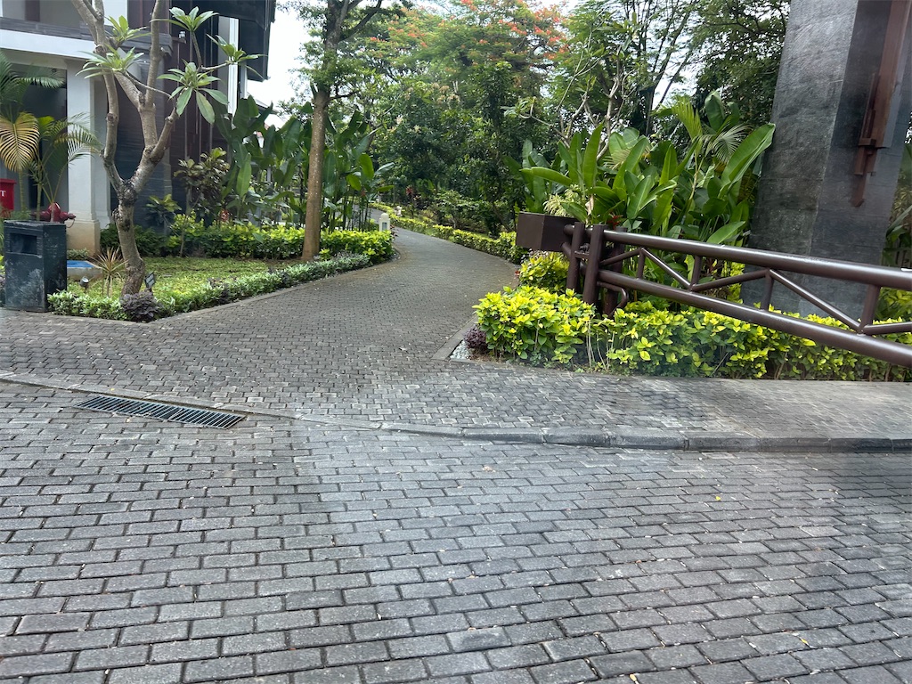 f:id:HAY0930:20250203104830j:image