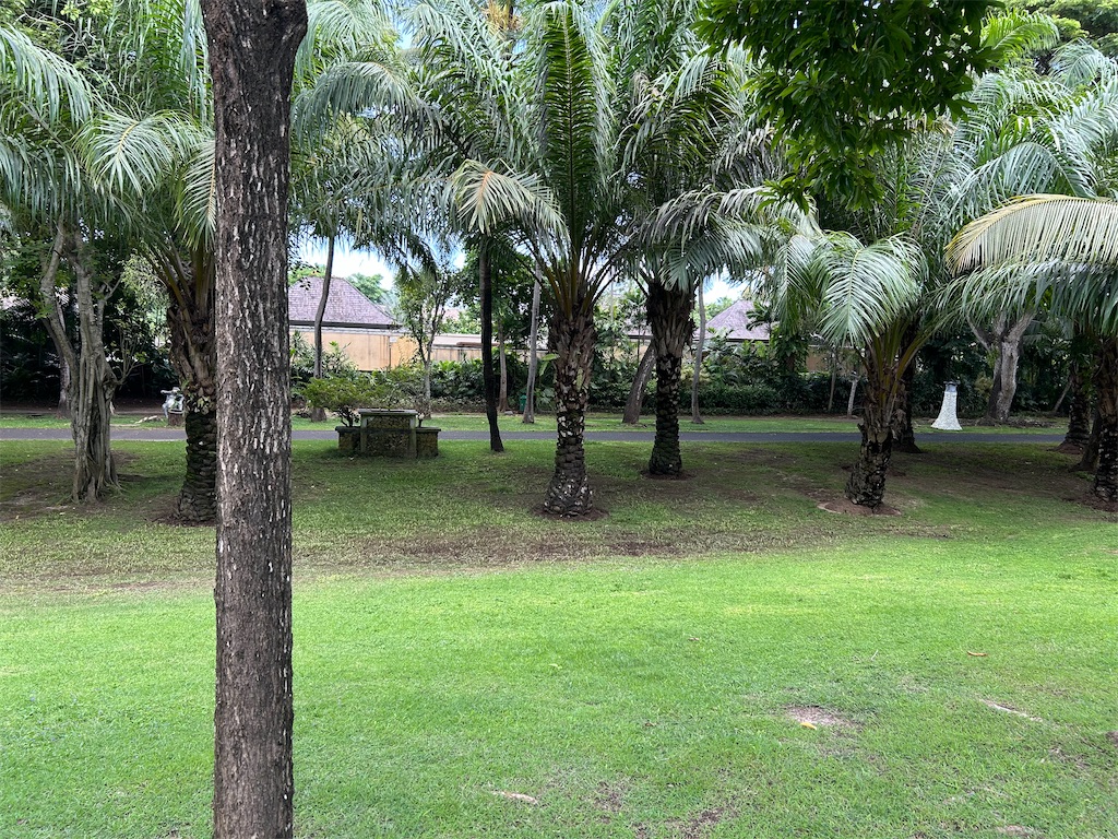 f:id:HAY0930:20250203105604j:image